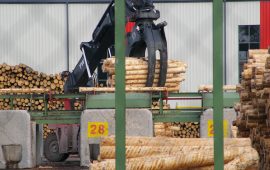 Lasy Państwowe w miejsce wyciętego lasu mają obowiązek nasadzenia nowego. Jednakże parafrazując hasło reklamowe Lasów Państwowych: LAS ROŚNIE DŁUGO A WYCINA SIĘ SZYBKO.